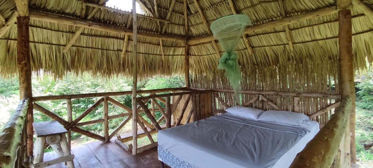 Palapa Hostel Transito Εξωτερικό φωτογραφία