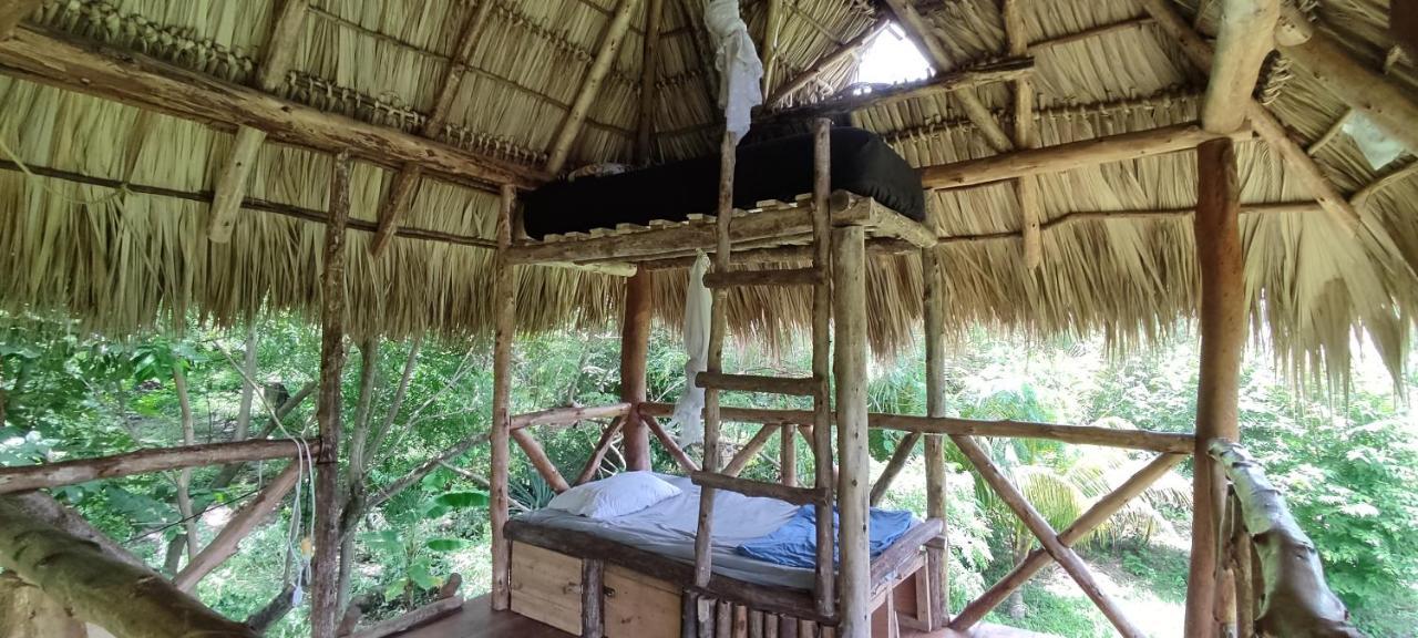 Palapa Hostel Transito Εξωτερικό φωτογραφία