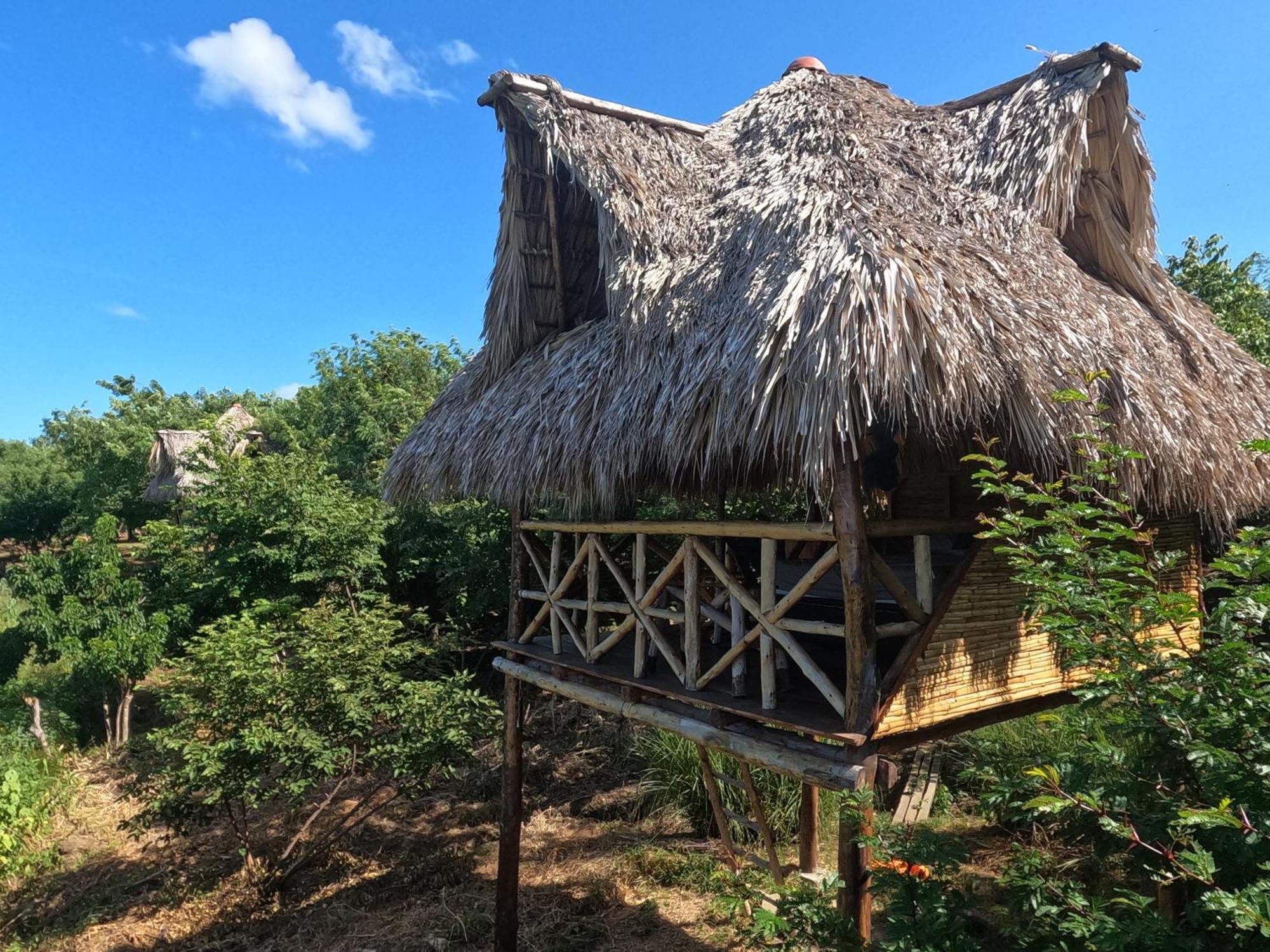 Palapa Hostel Transito Εξωτερικό φωτογραφία