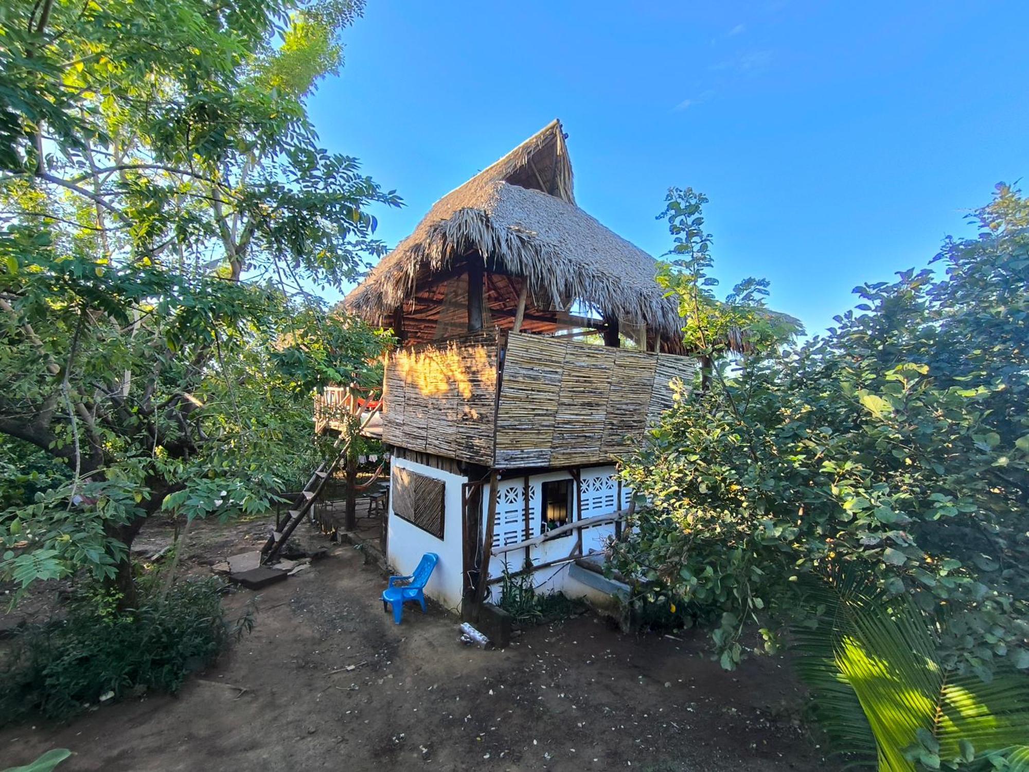 Palapa Hostel Transito Εξωτερικό φωτογραφία