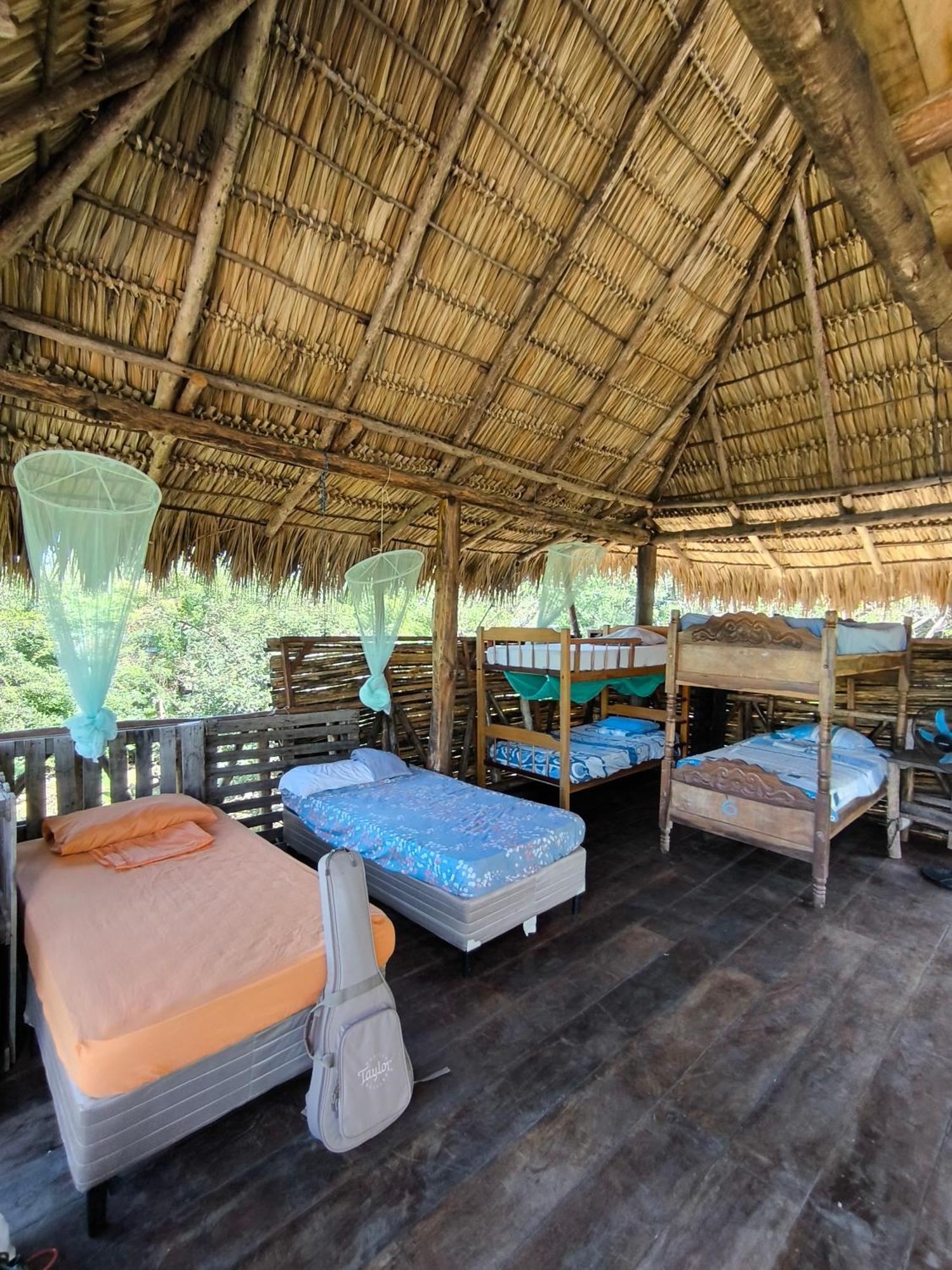 Palapa Hostel Transito Εξωτερικό φωτογραφία