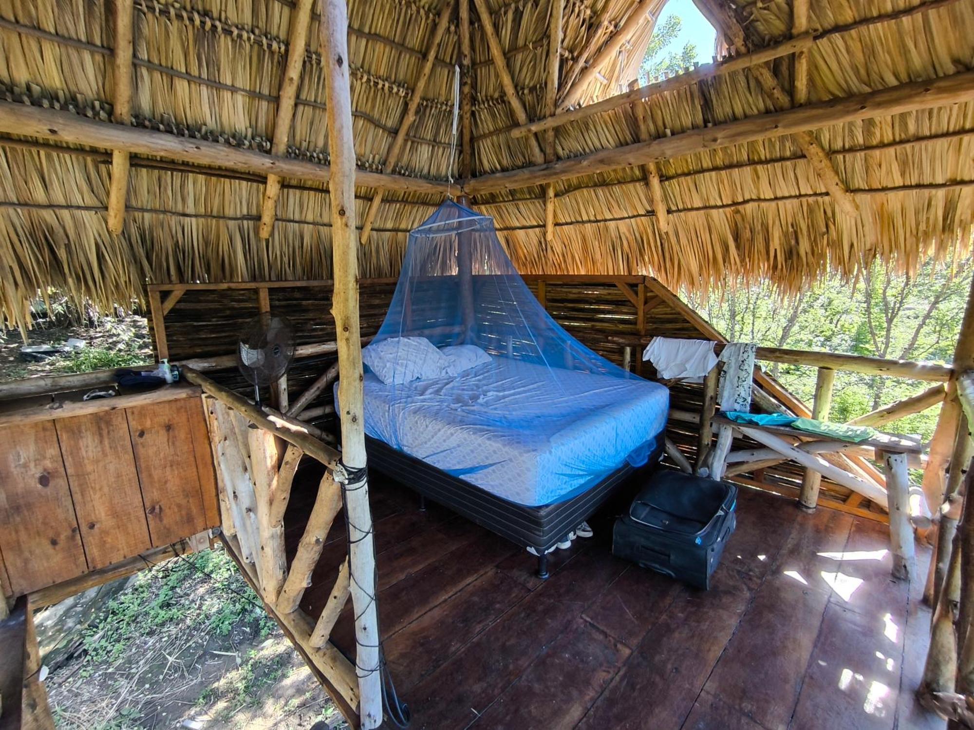 Palapa Hostel Transito Εξωτερικό φωτογραφία