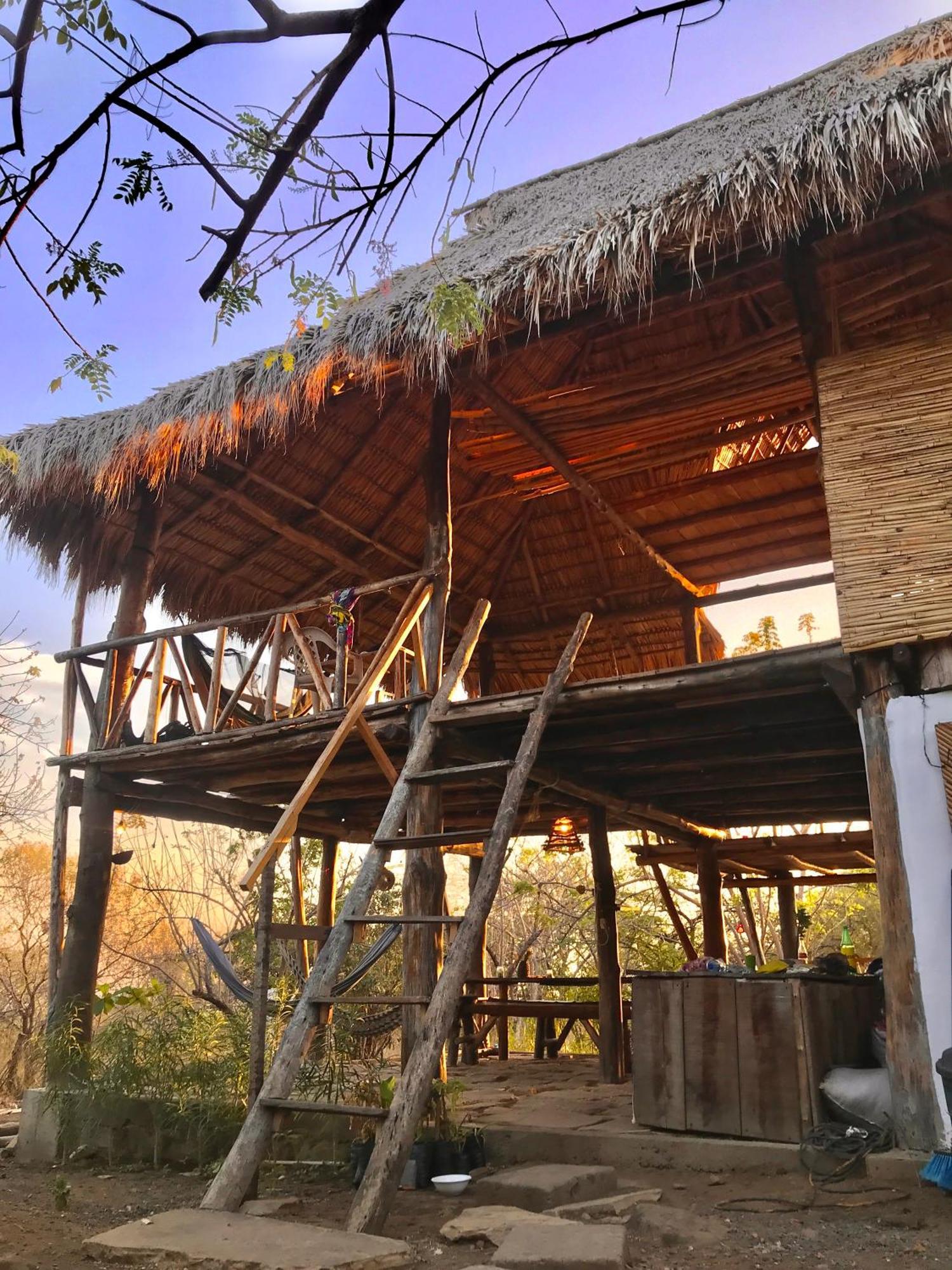 Palapa Hostel Transito Εξωτερικό φωτογραφία