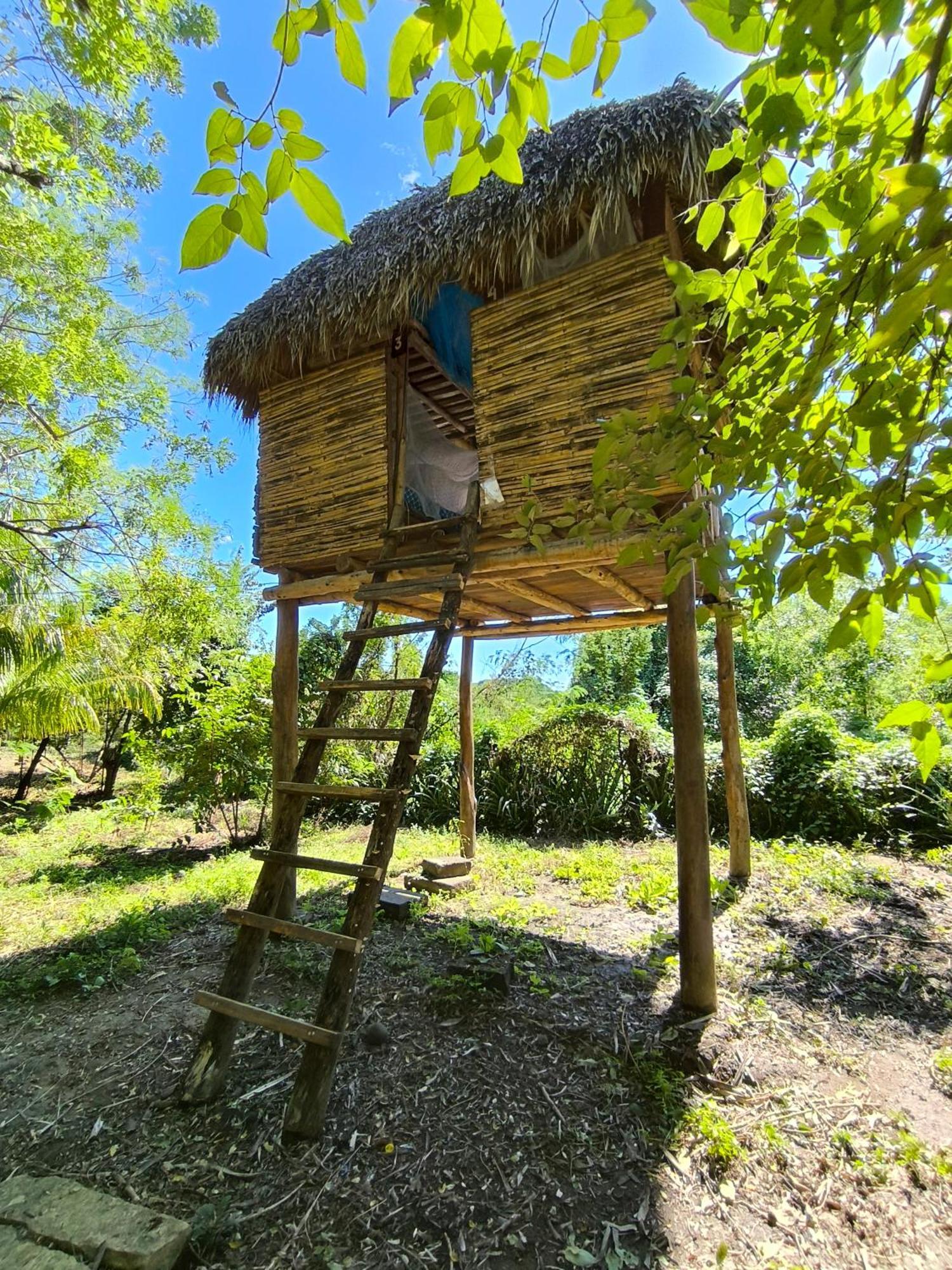 Palapa Hostel Transito Εξωτερικό φωτογραφία
